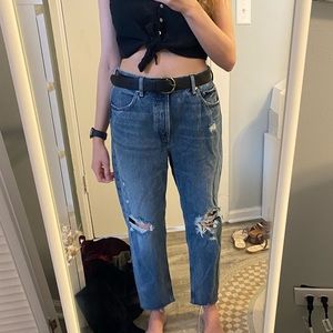 Everlane 90s Cheeky Jean 28 Crop